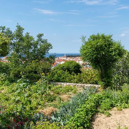 Rab 17684a Apartamento Banjol